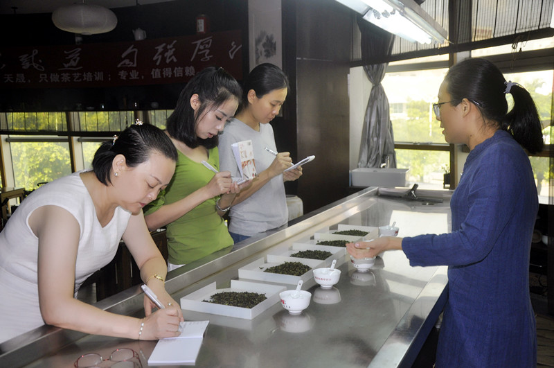 茶艺培训心得体会：难忘的天晟10天茶学培训之旅(图1)