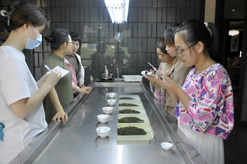 天晟茶艺培训：习茶女子，以艺润心，烹煮岁月里的清雅芬芳(图1)