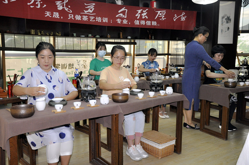 天晟茶艺培训：习茶女子，以艺润心，烹煮岁月里的清雅芬芳(图3)