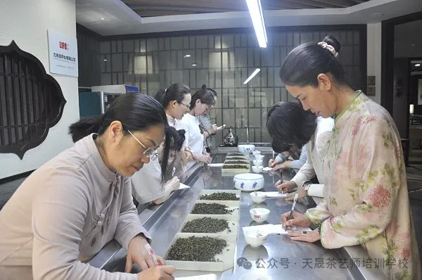 走进茶艺培训----茶艺师的“第二张脸”：以手为笔，绘茶艺之美(图5)