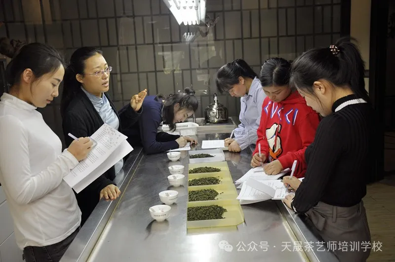 学茶艺，你找天晟茶艺培训学校了吗？记天晟中国茶学系统培训班的魅力(图1)