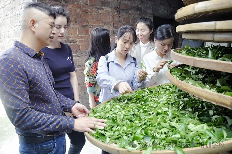 学茶艺，你找天晟茶艺培训学校了吗？记天晟中国茶学系统培训班的魅力(图2)