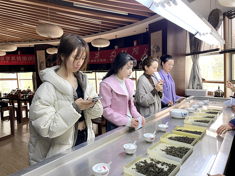 湿评台与干评台的区别_力夫科技LF-400SP/LF-200GP审评台套装_按国