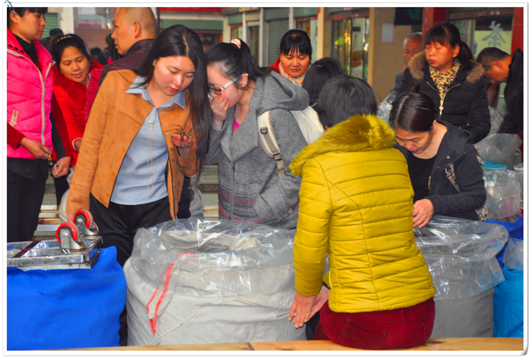 天晟茶艺培训学校能考三证火了吗? (图1) 天晟茶艺培训学校能考三证火了吗? (图1)